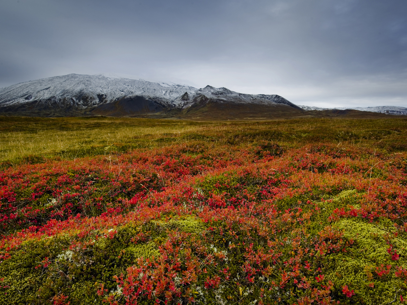 Поле на фоне заснеженной горы, Исландия