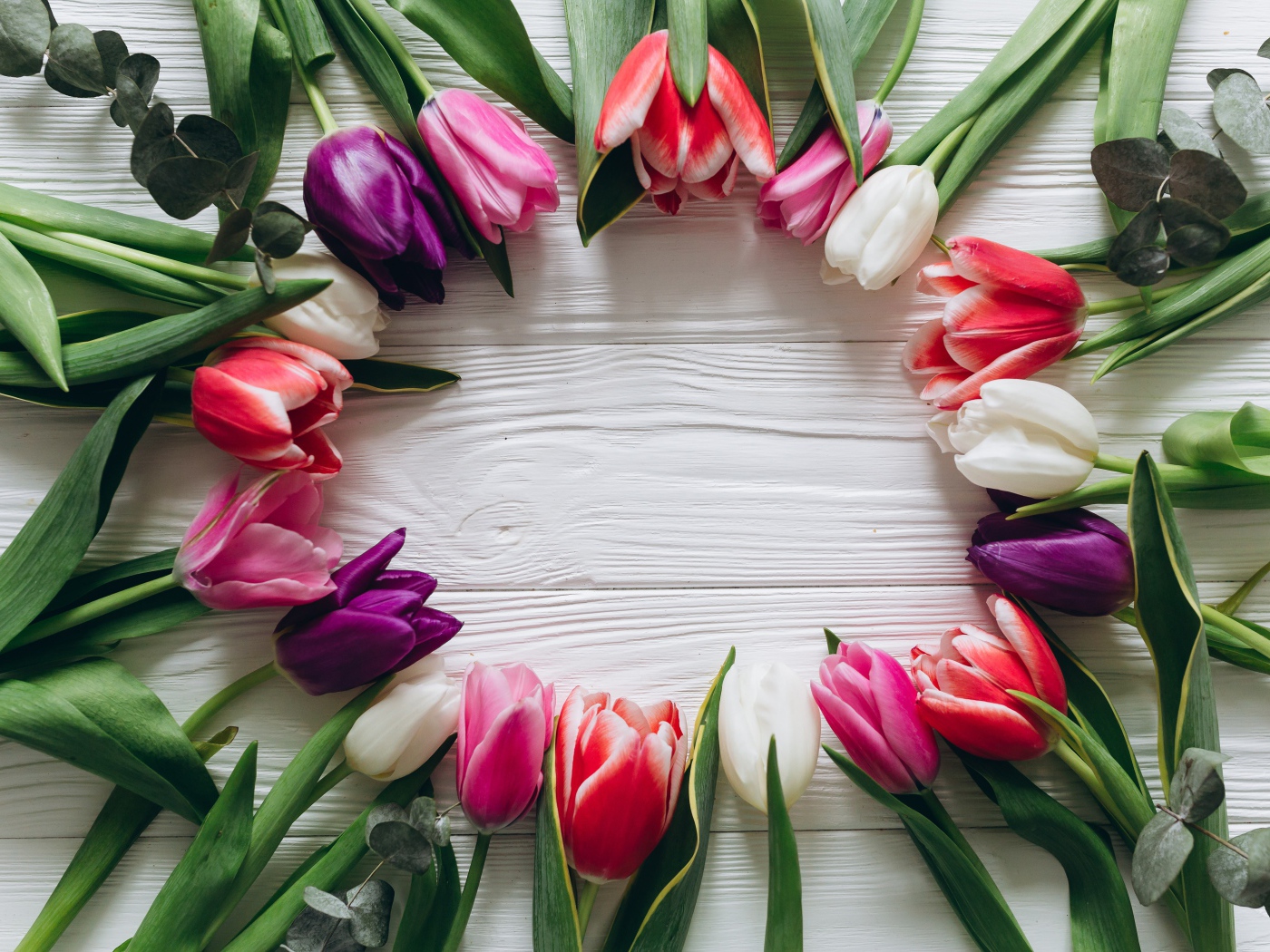 Круг из разноцветных тюльпанов на столе 