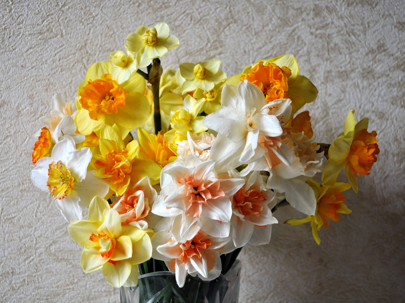 Красивый букет разноцветных нарциссов