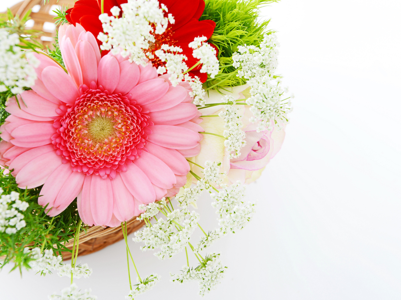 Красивый нежный букет с цветами герберы на белом фоне