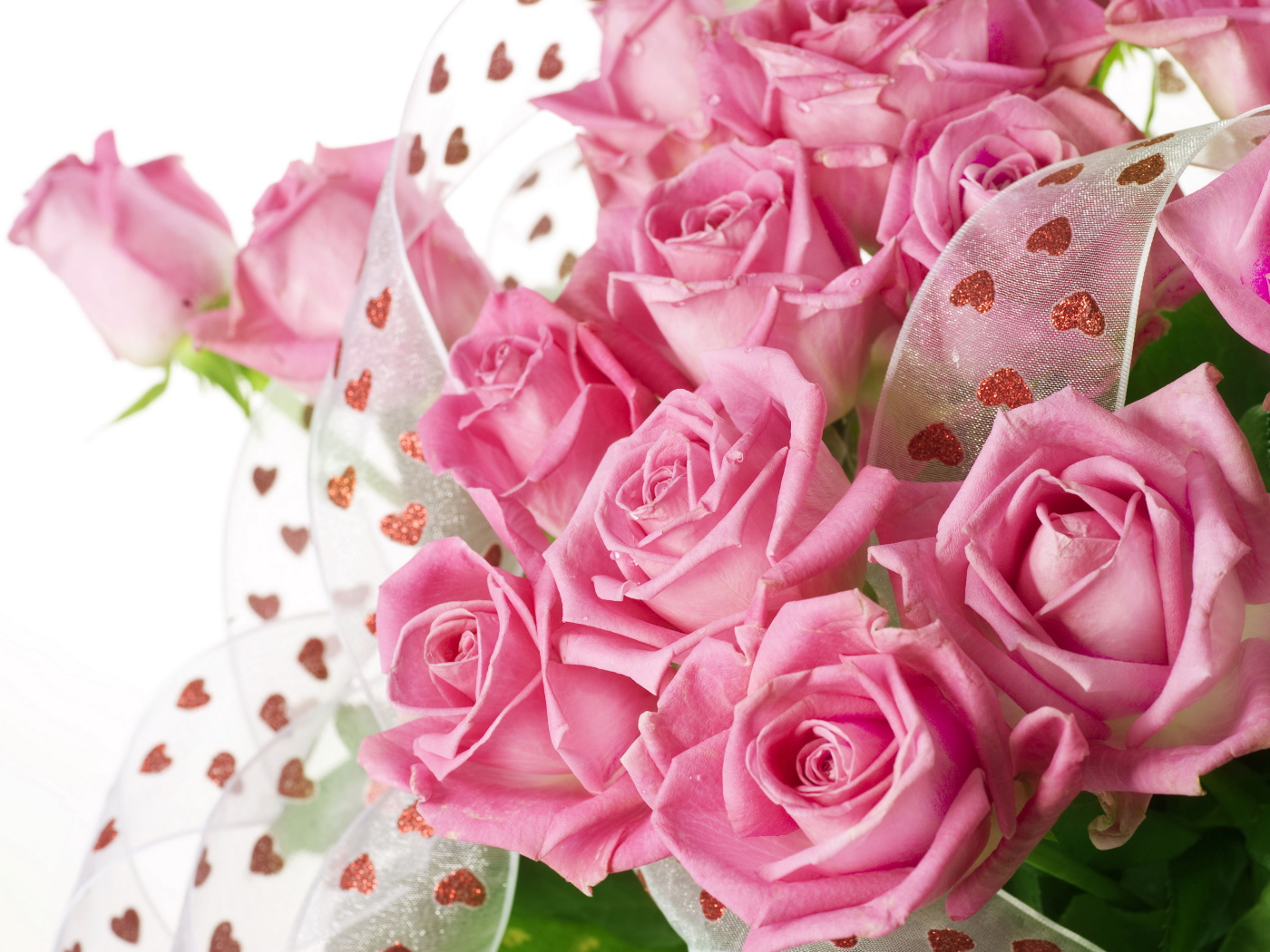 Большой красивый букет розовых роз с атласной лентой на белом фоне