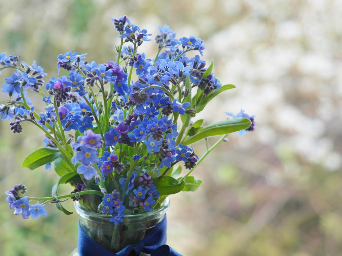 Голубые цветы незабудки в вазе с лентой