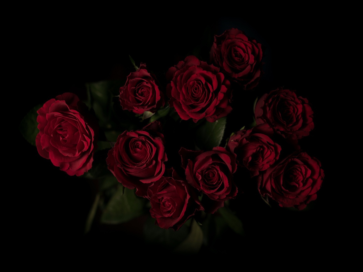 Букет красивых бордовых роз на черном фоне