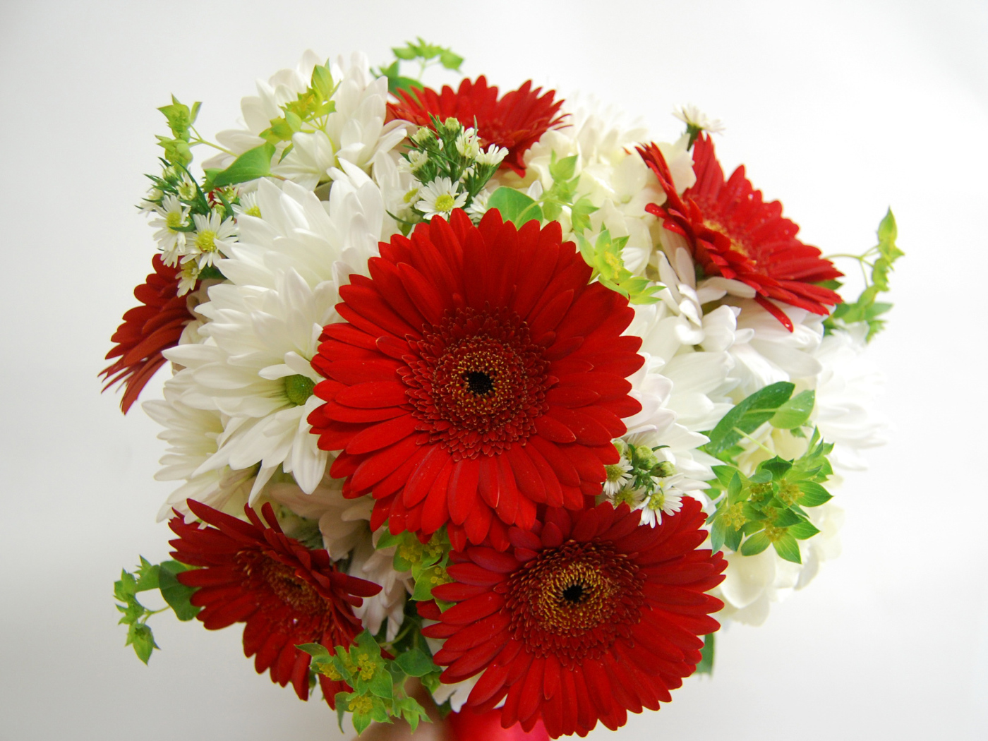 Букет белых хризантем с красными герберами