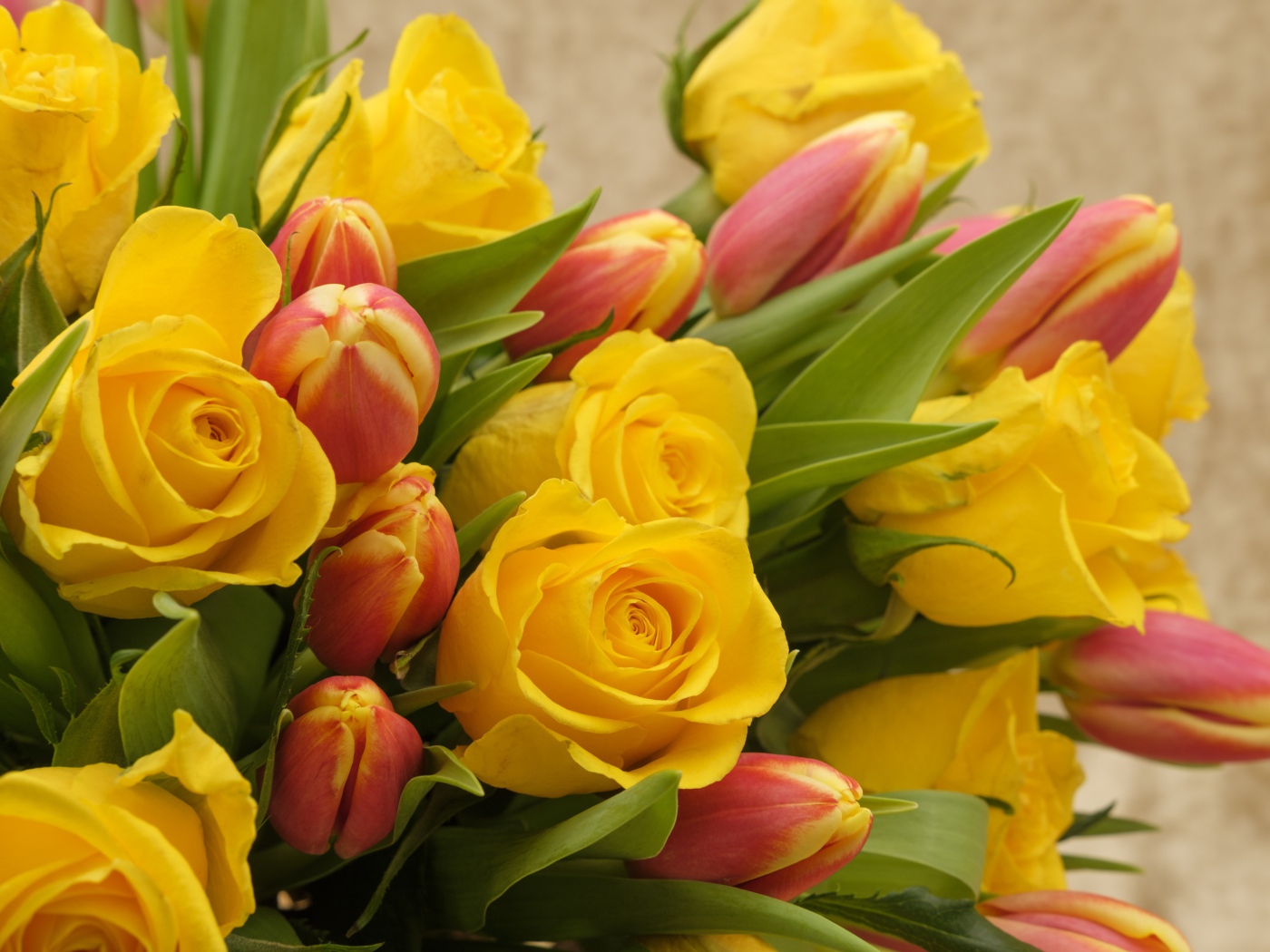 Букет желтых  роз с тюльпанами