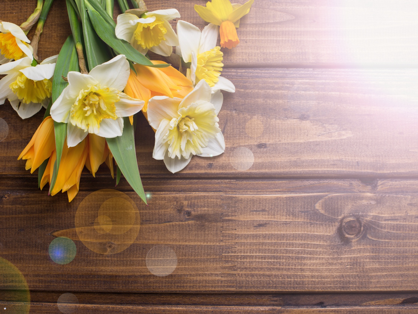 Нарциссы и желтые тюльпаны на деревянном фоне
