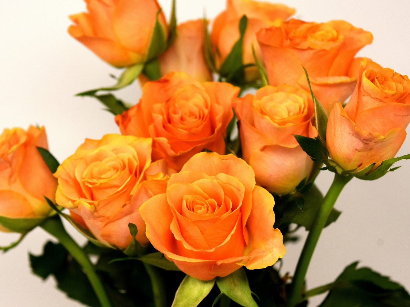 Праздничный букет оранжевых роз на сером фоне