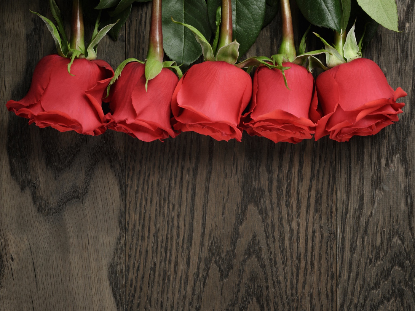 Пять красных роз на деревянной поверхности, шаблон для открытки