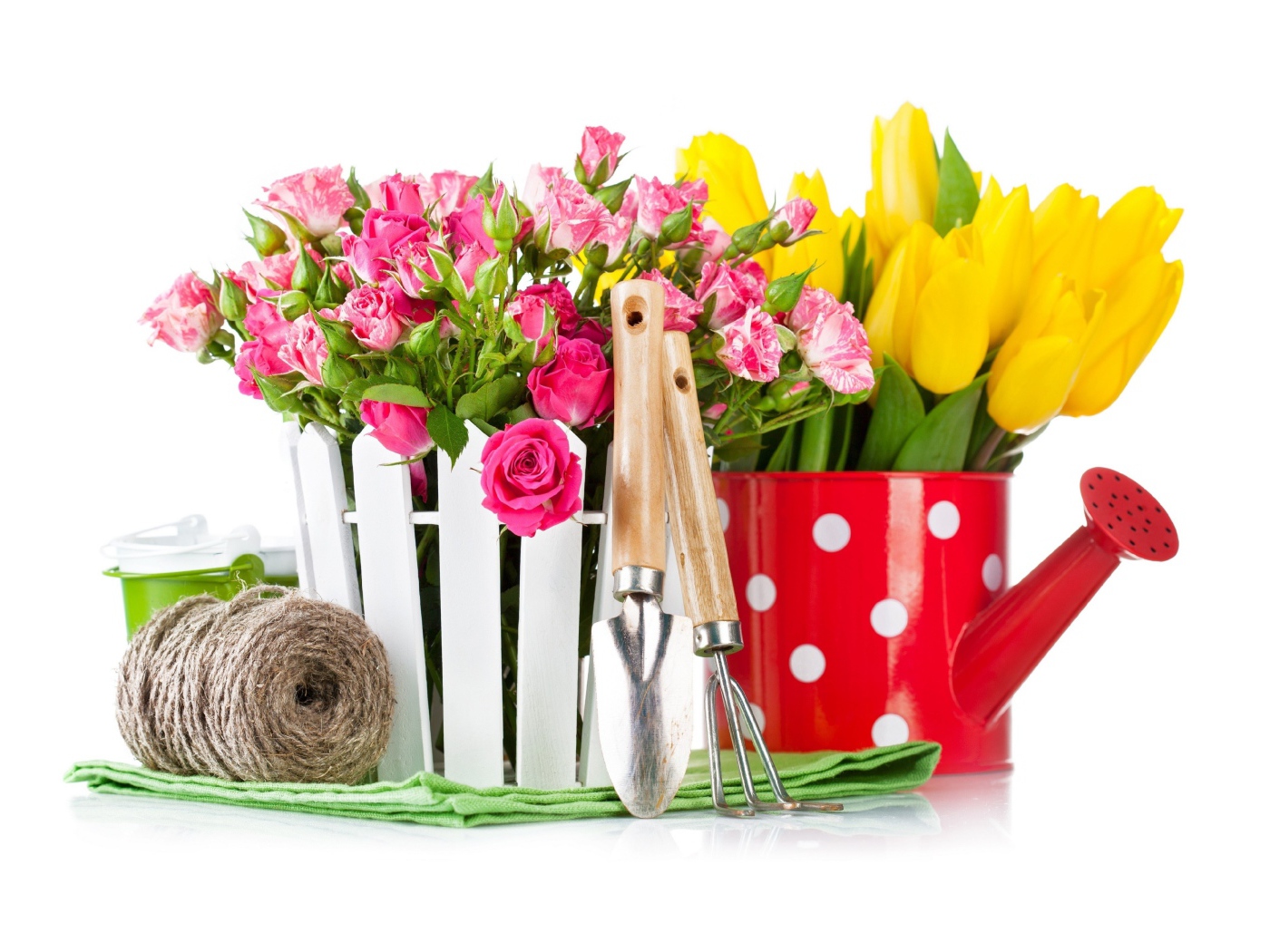 Цветы розовой розы и тюльпаны на белом фоне с садовыми инструментами