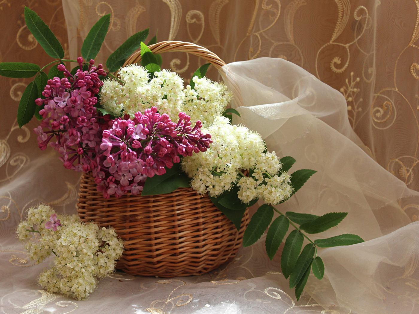 Ветки сирени и белой цветущей рябины в корзине