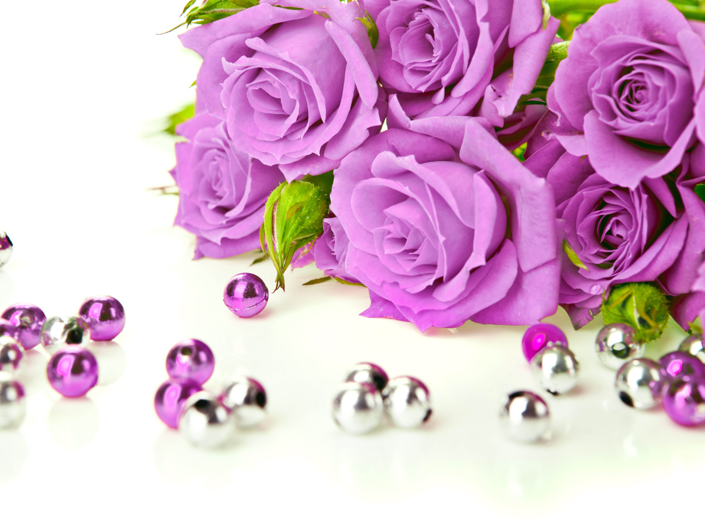 Сиреневые розы с бусинами на белом фоне