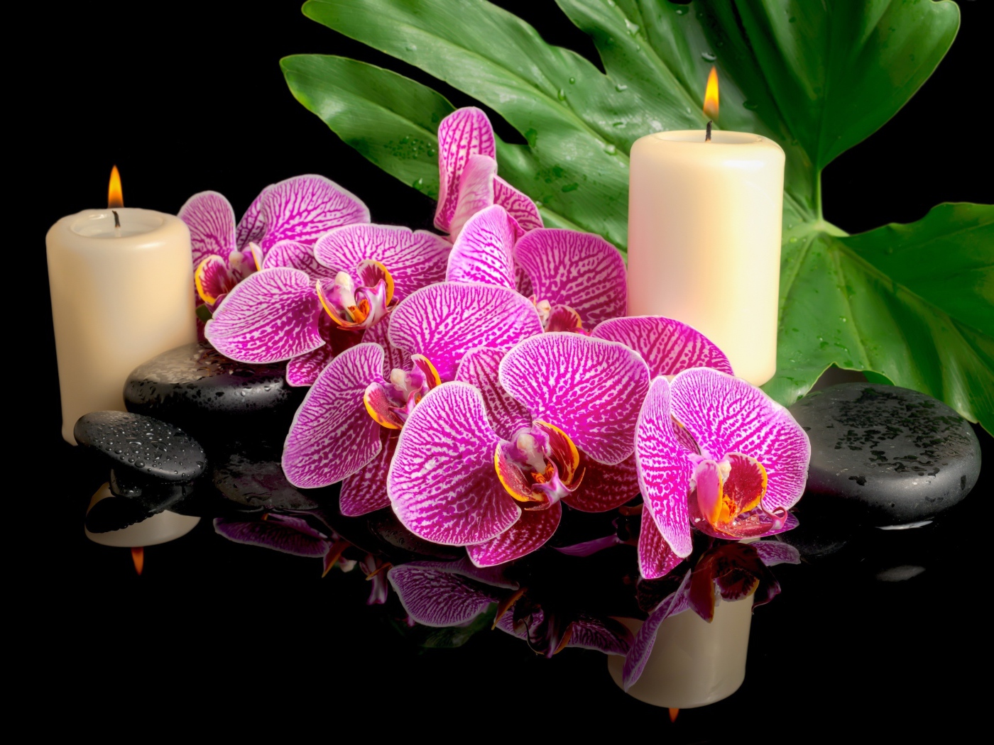 Розовые орхидеи с черными камнями и зажженными свечами