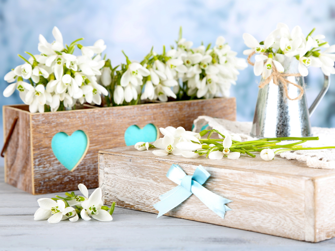 Красивые нежные белые подснежники в деревянном ящике