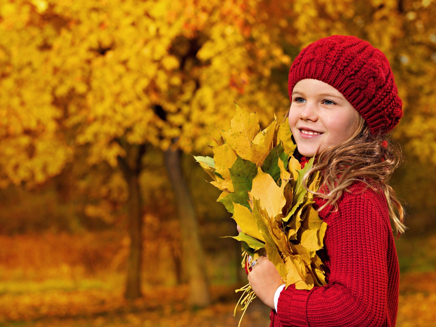 Девочка в красном берете с желтыми листьями в руках
