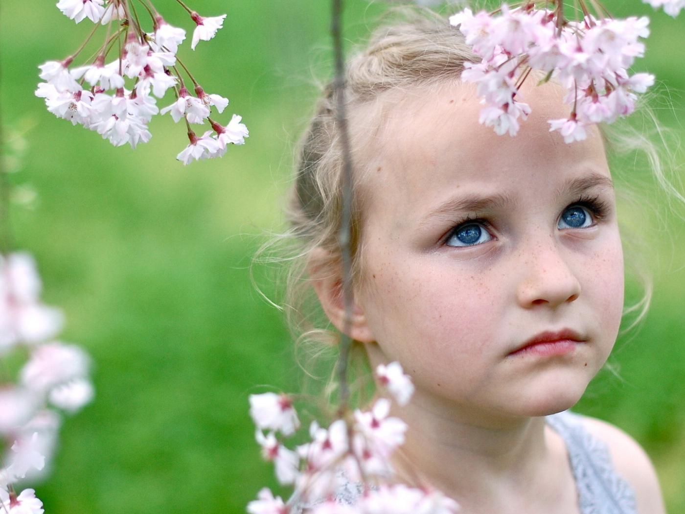 Маленькая голубоглазая девочка с ветками весенних цветов