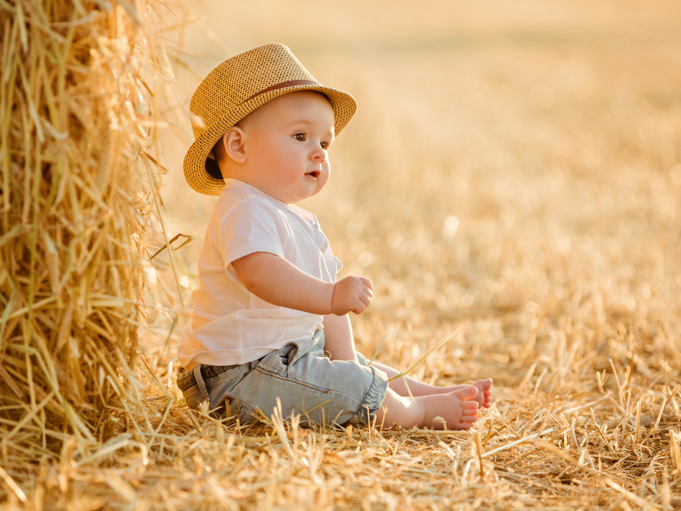 A little boy is sitting on the hay