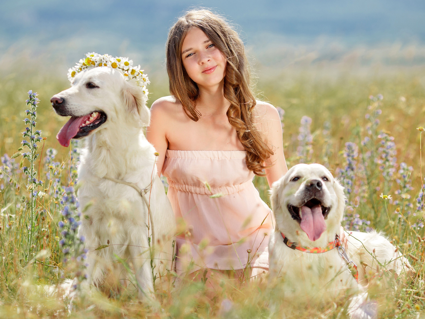 Красивая девочка с собаками в поле
