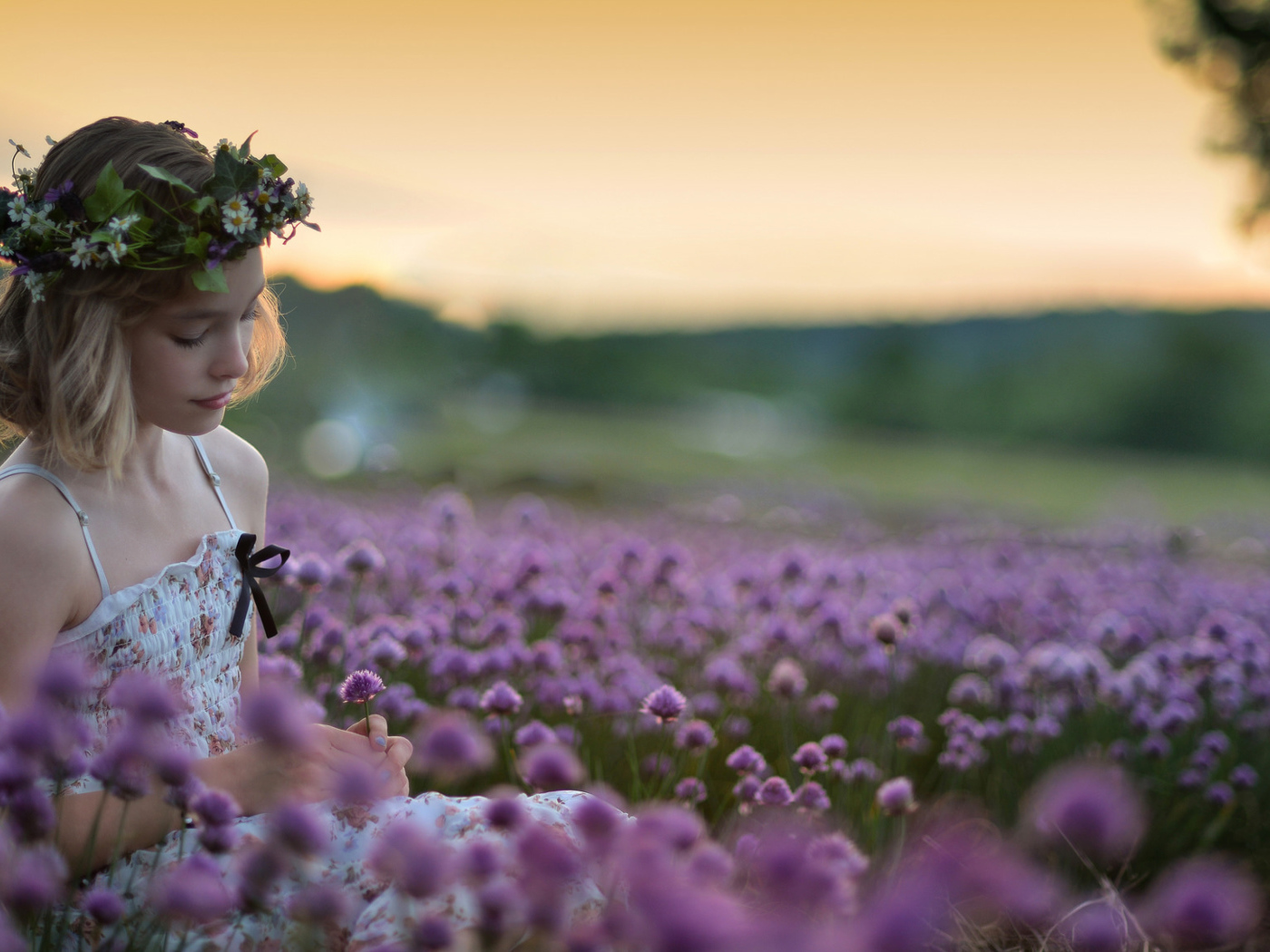 Нежная маленькая девочка сидит на поле с сиреневыми цветами