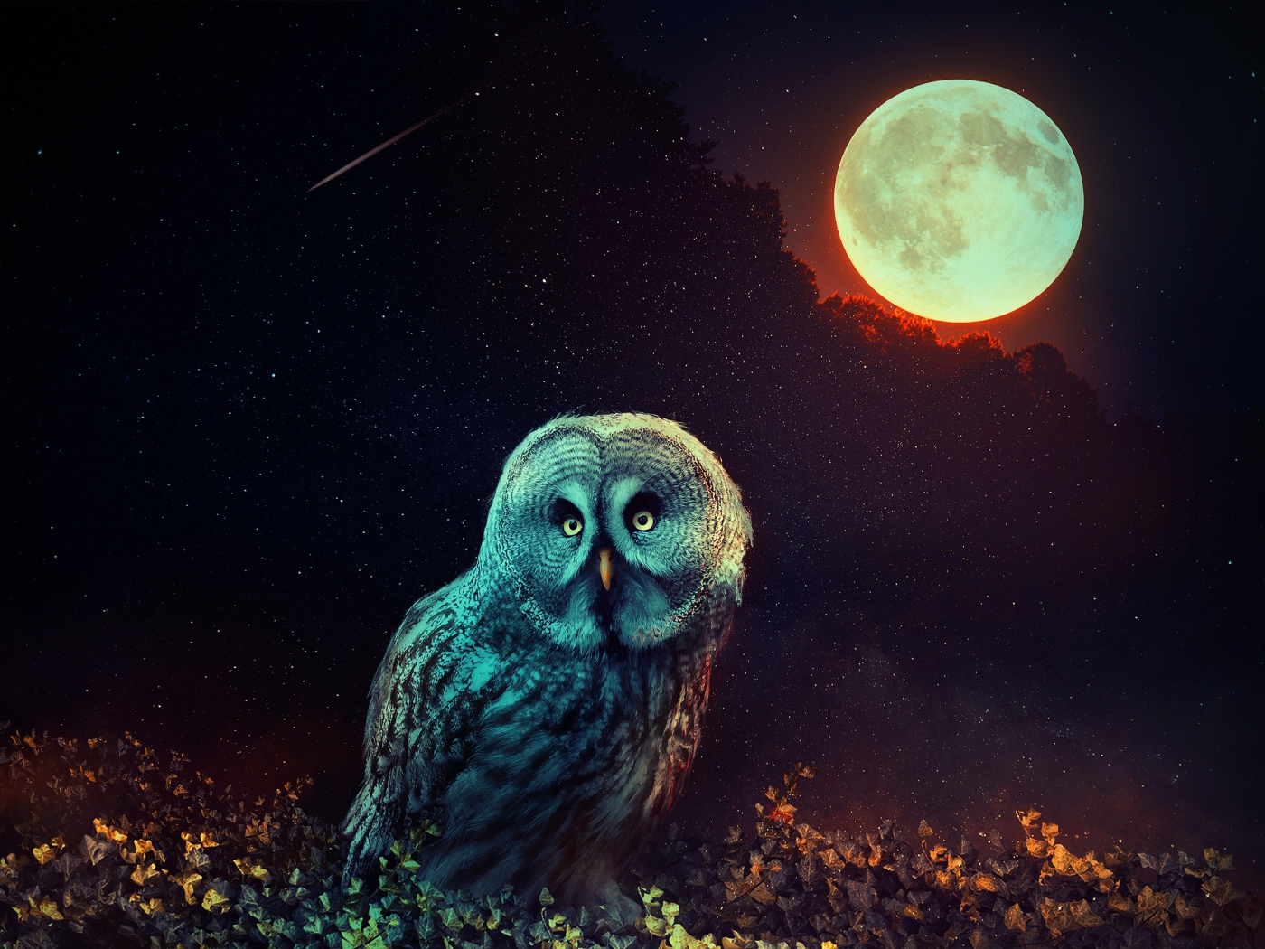Сова  сидит на траве на фоне большой луны