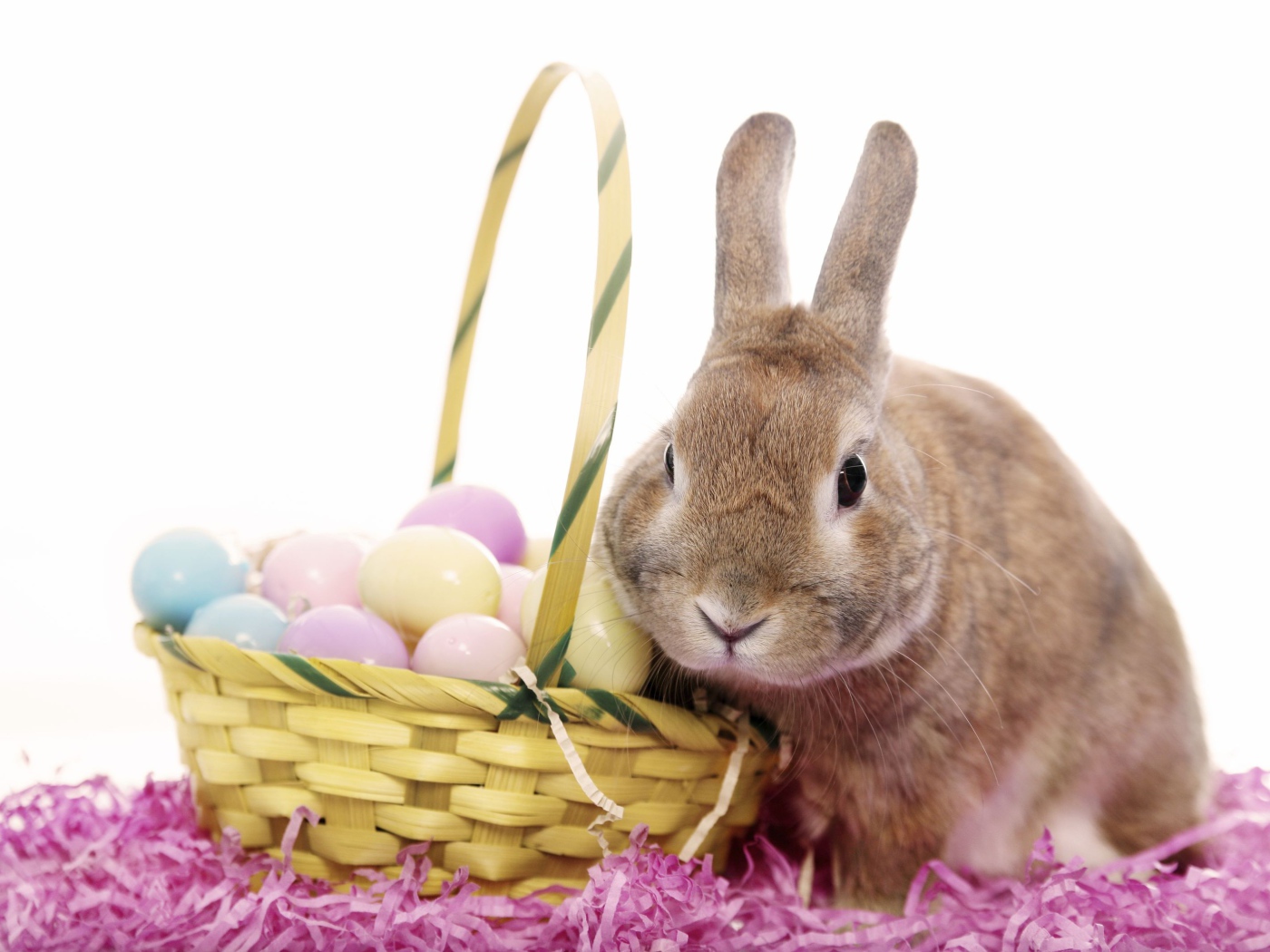 Кролик с корзиной яиц на белом фоне