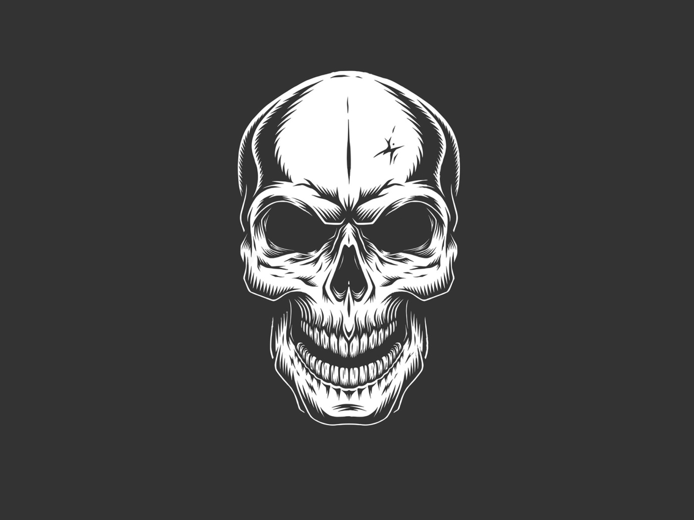Белый нарисованный череп на сером фоне 