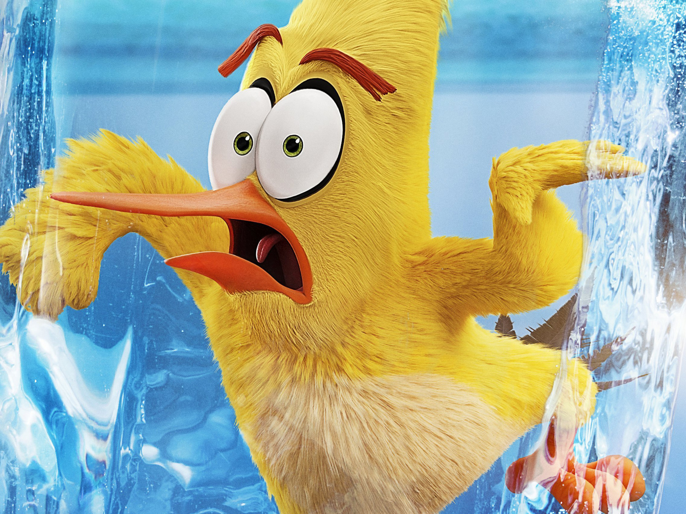 Желтая птица во льду мультфильм The Angry Birds в кино 2