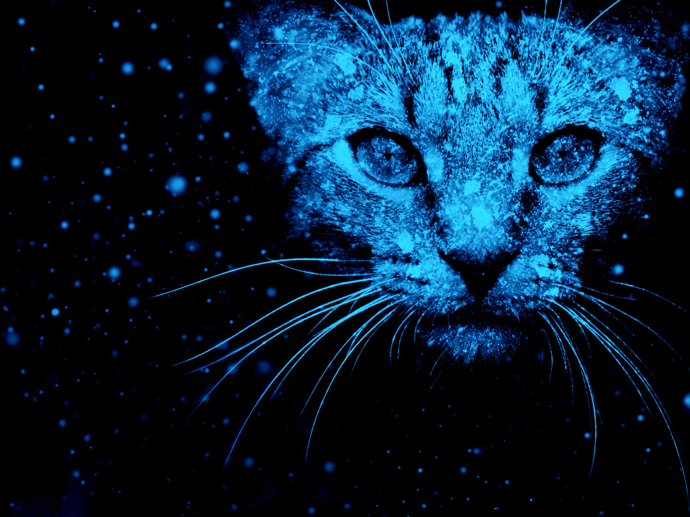 Неоновый фантастический кот на черном фоне 