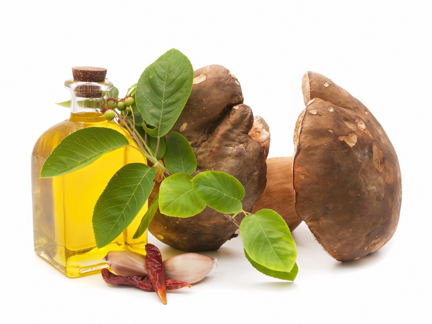 Грибы на белом фоне с оливковым маслом и чесноком