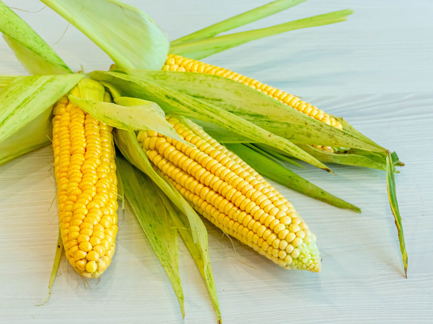 Желтые початки кукурузы с зелеными листьями на столе