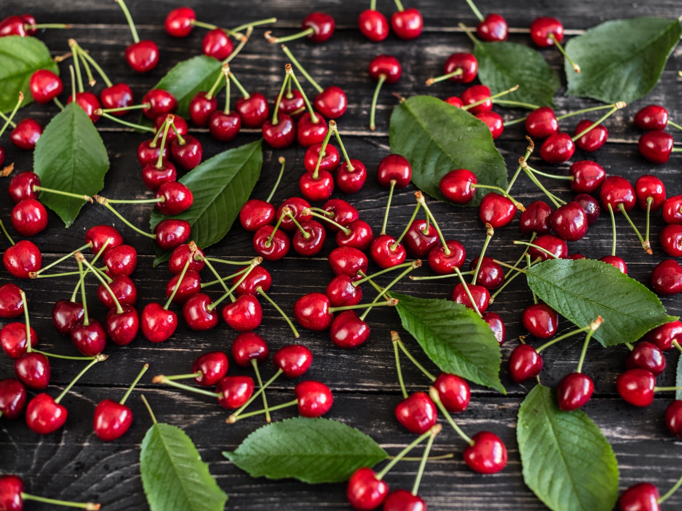 Много спелой черешни на столе с зелеными листьями