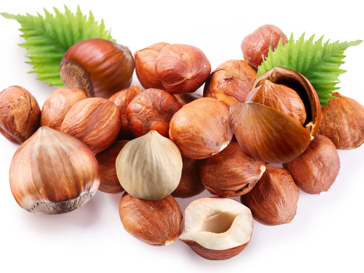 Много лесных орехов на белом фоне