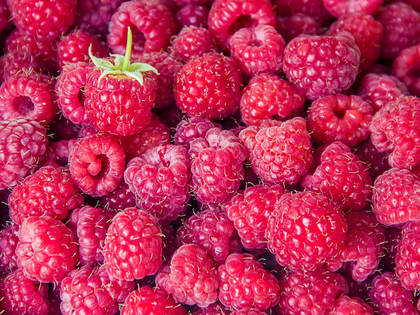 Вкусная спелая малина крупным планом