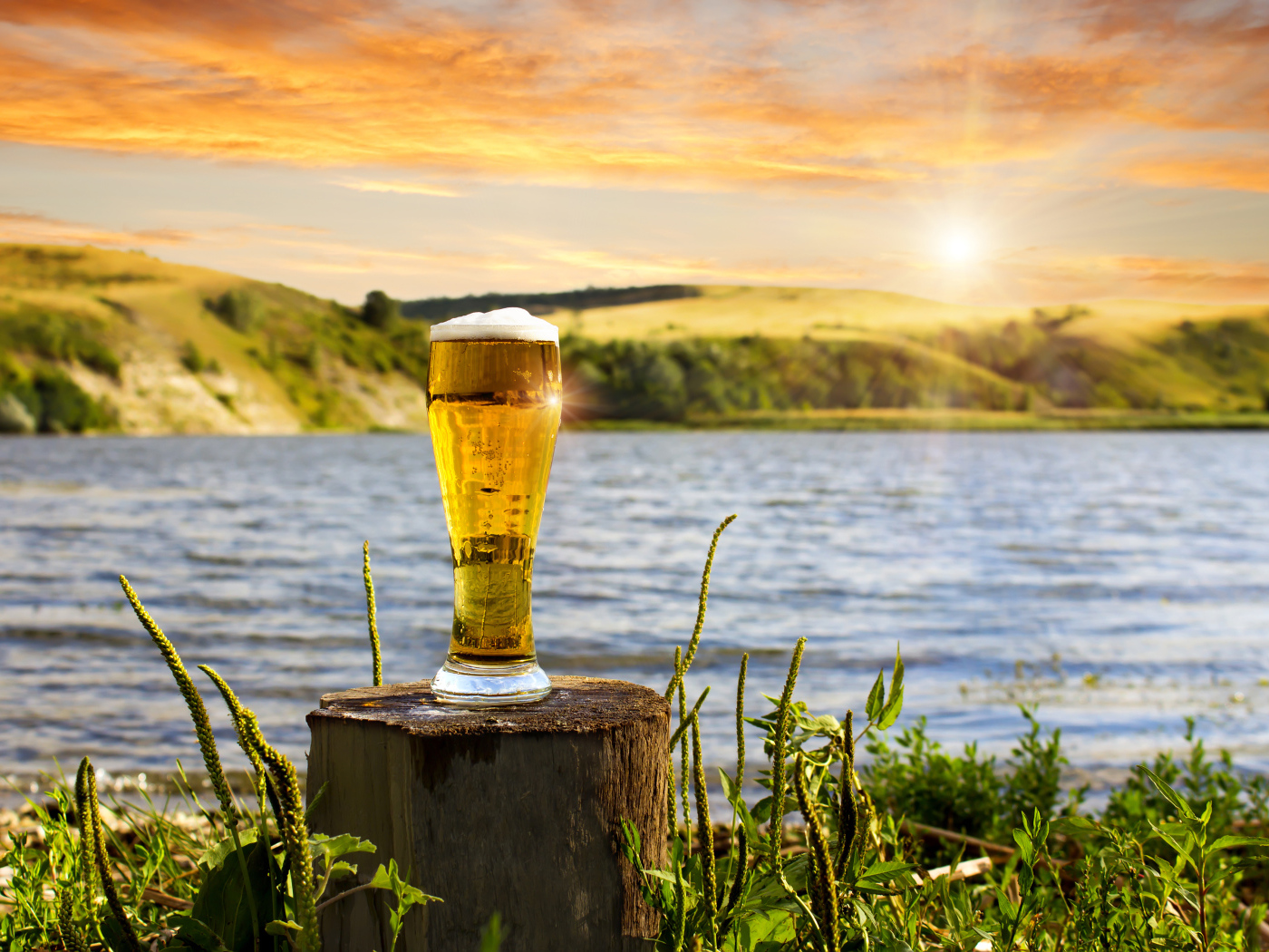 Бокал пива стоит на пне у воды 