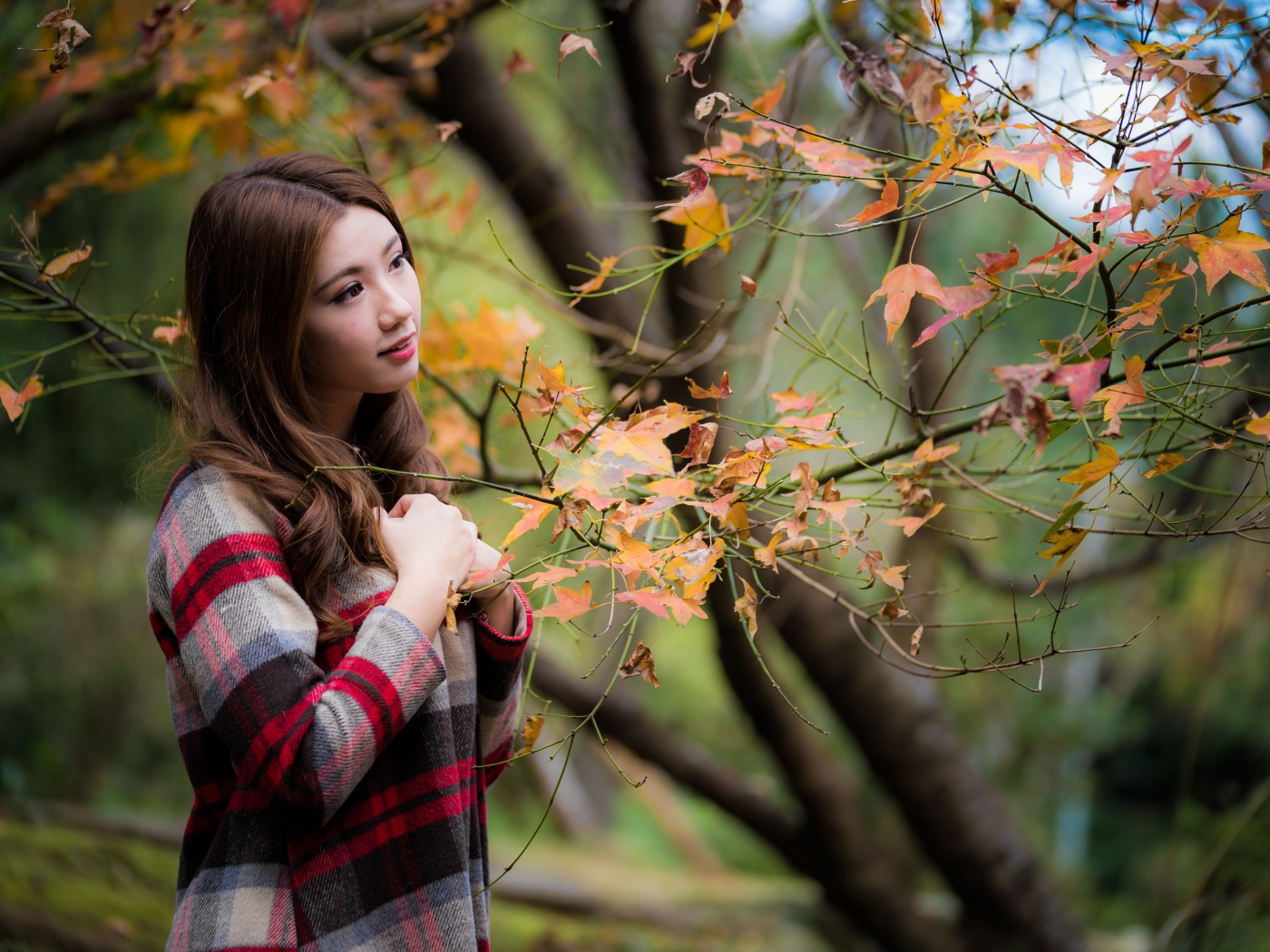 Красивая азиатка стоит у дерева