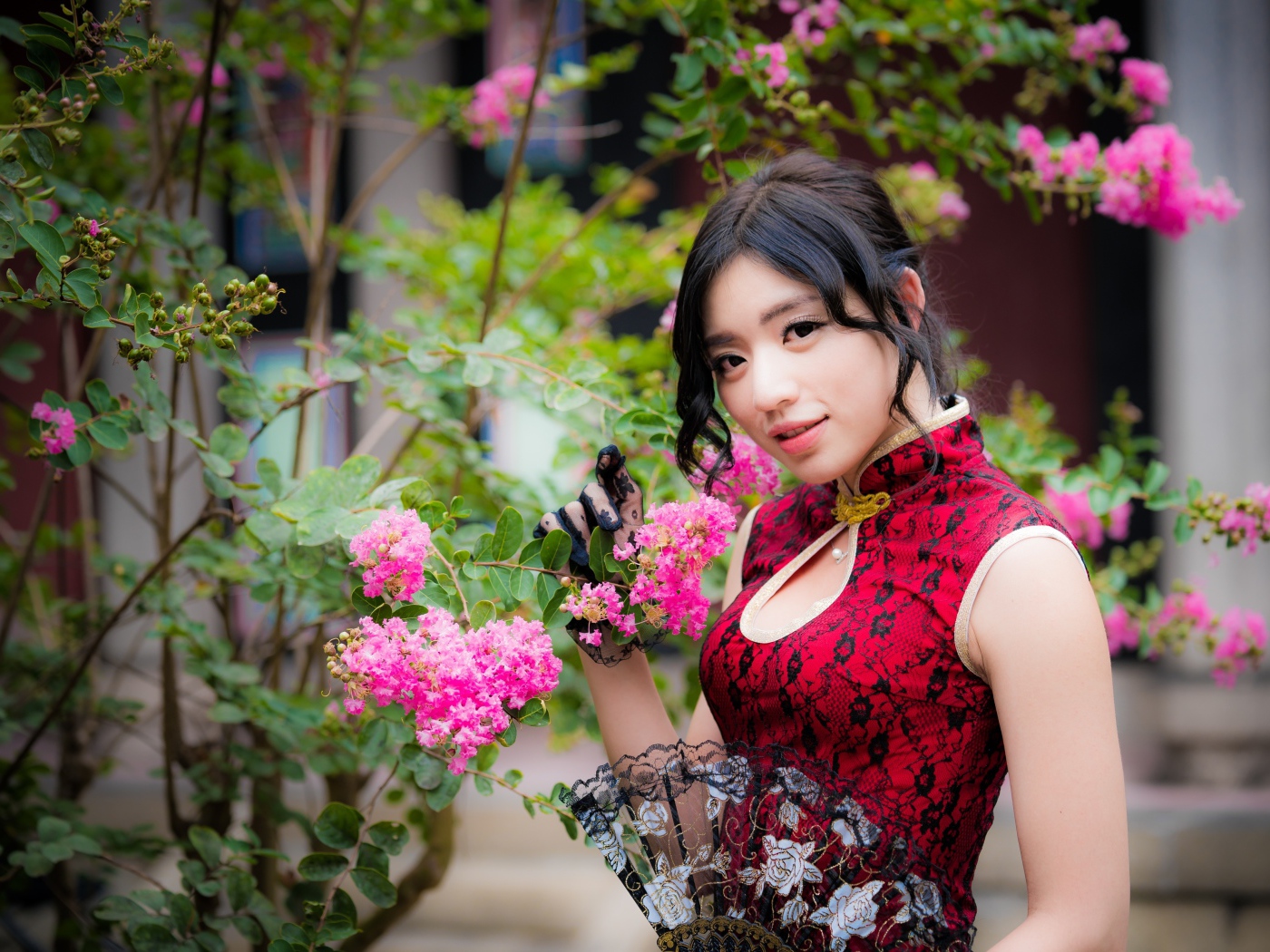 Красивая азиатка с веером в руках стоит у куста с розовыми цветами