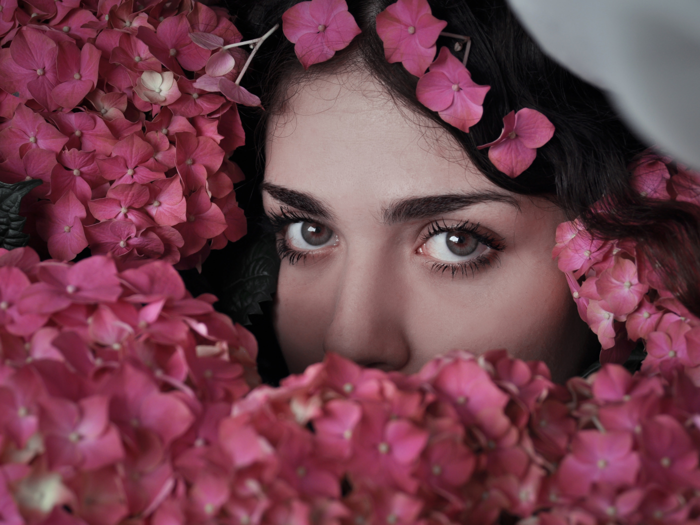 Лицо девушки в розовых цветах гортензии