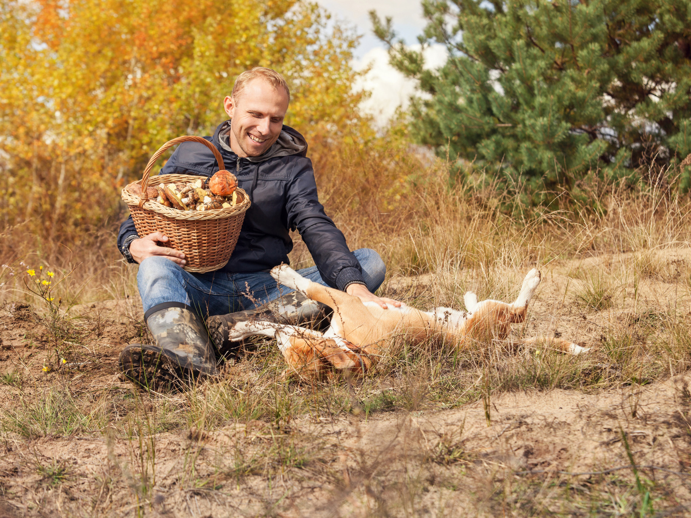 Мужчина собирает грибы с собакой в лесу