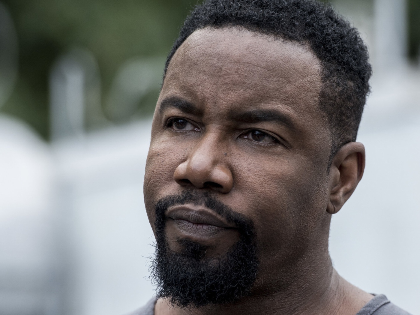 Американский актер Майкл Джей Уайт лицо крупным планом