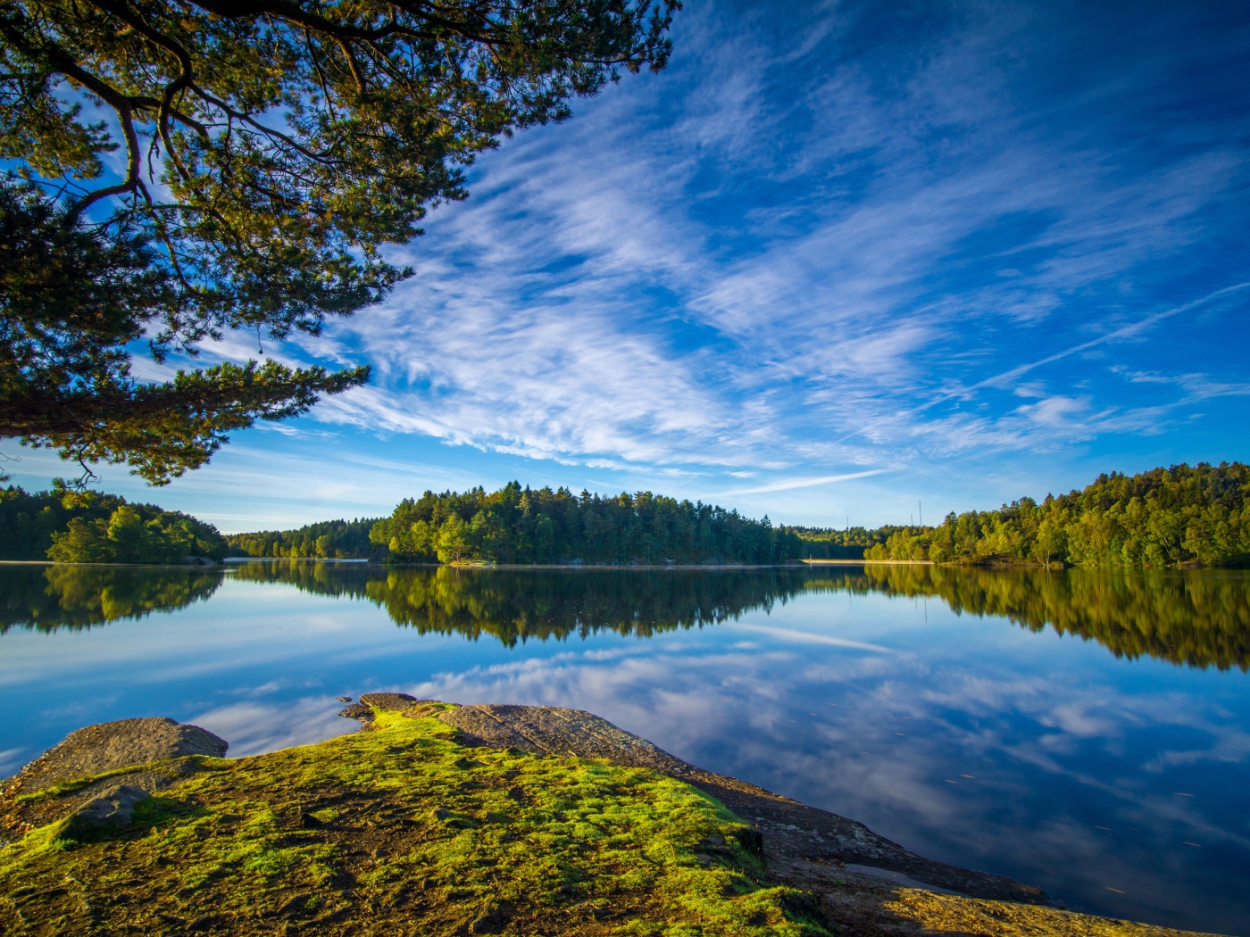 Голубое небо и зеленые деревья отражаются в воде