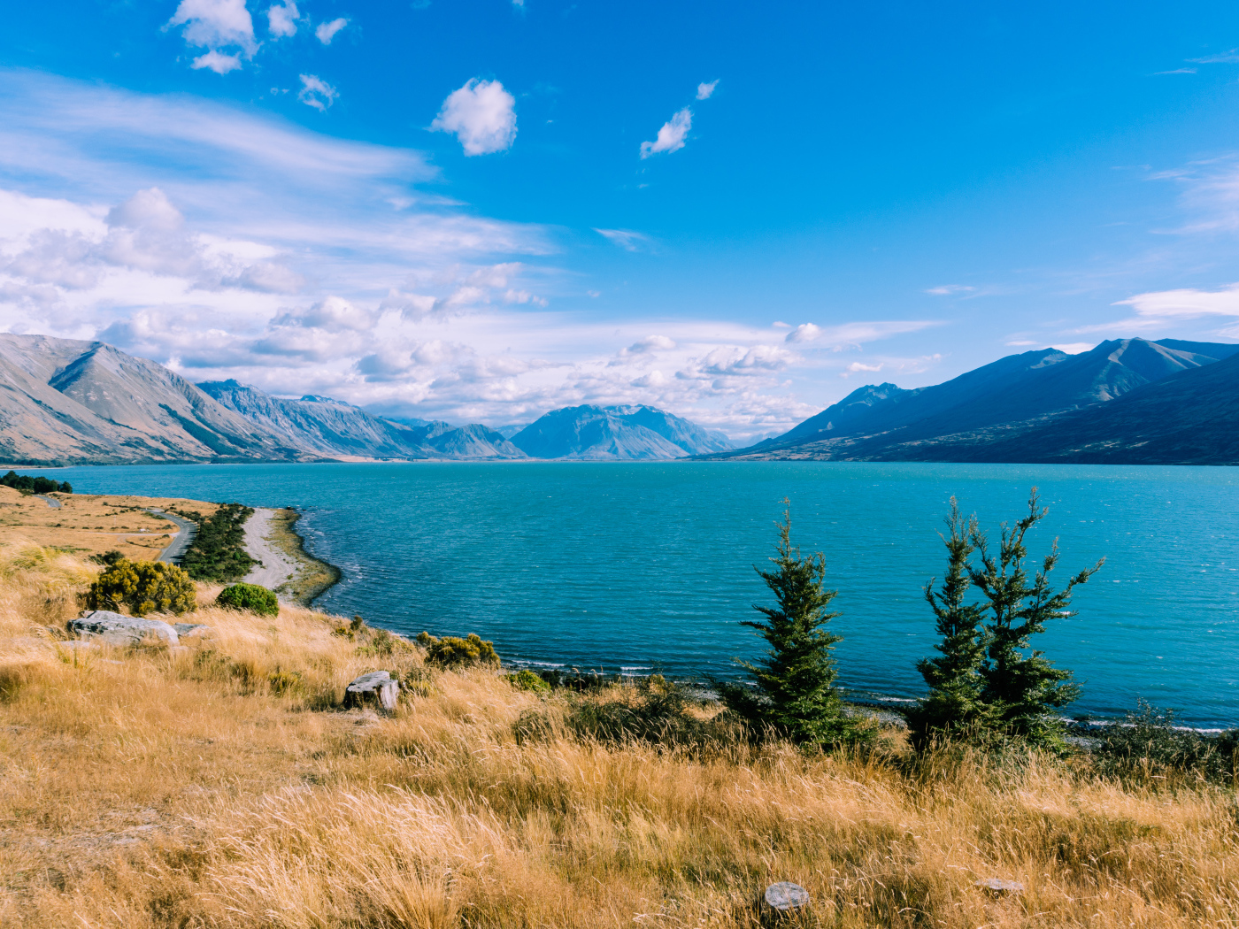 Сухая трава на берегу озера под голубым небом у гор 
