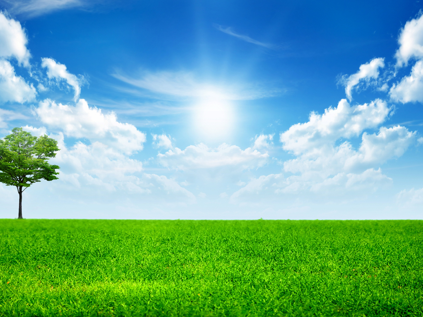 Зеленая трава под ярким солнцем в голубом небе с белыми облаками