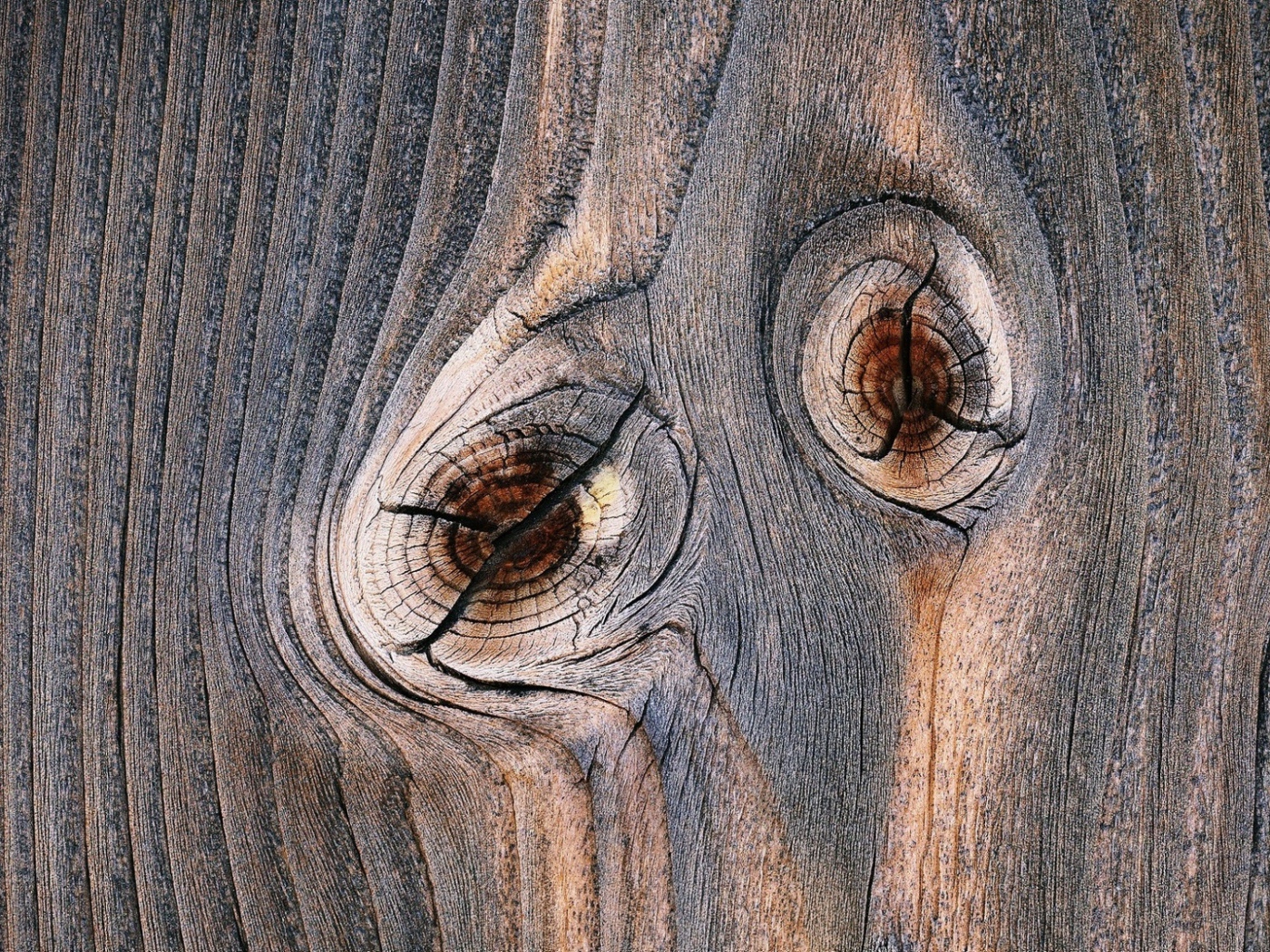 Следы от сучков с деревянной доске 