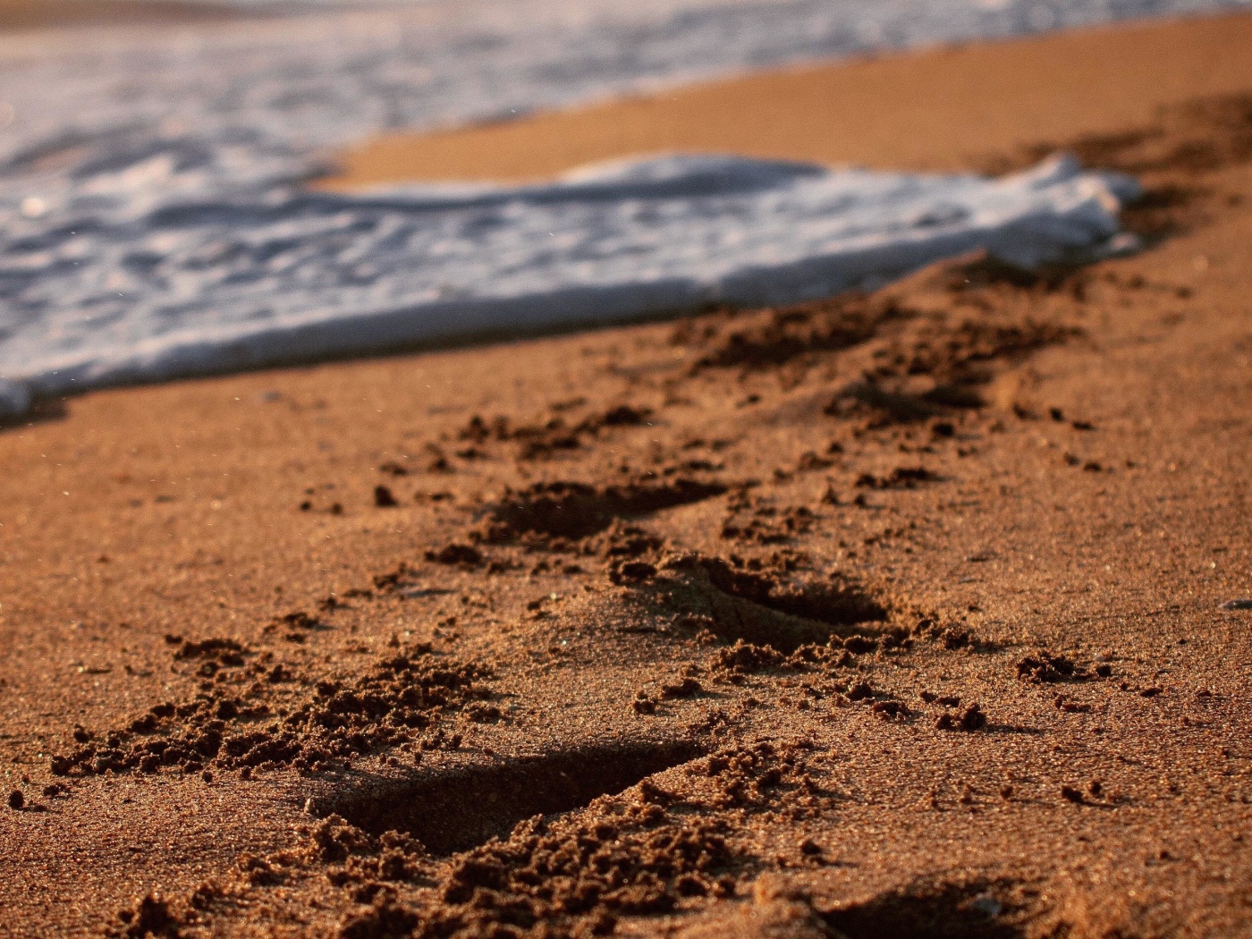 Следы на мокром морском песке с белой пеной