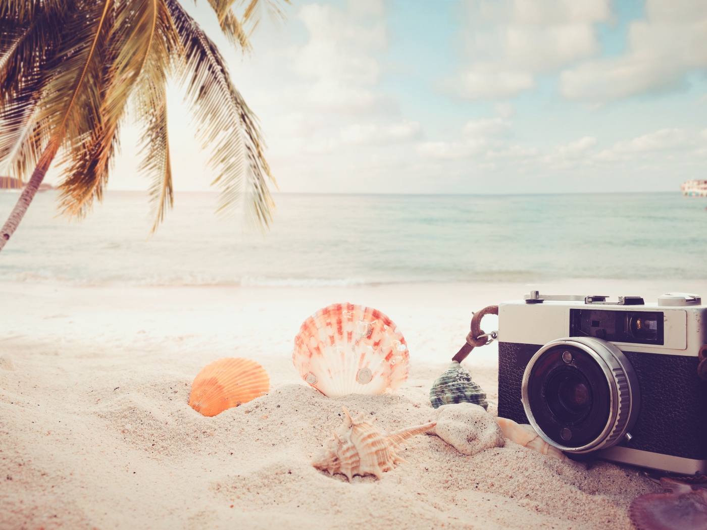 Фотоаппарат на пляже с ракушками у моря