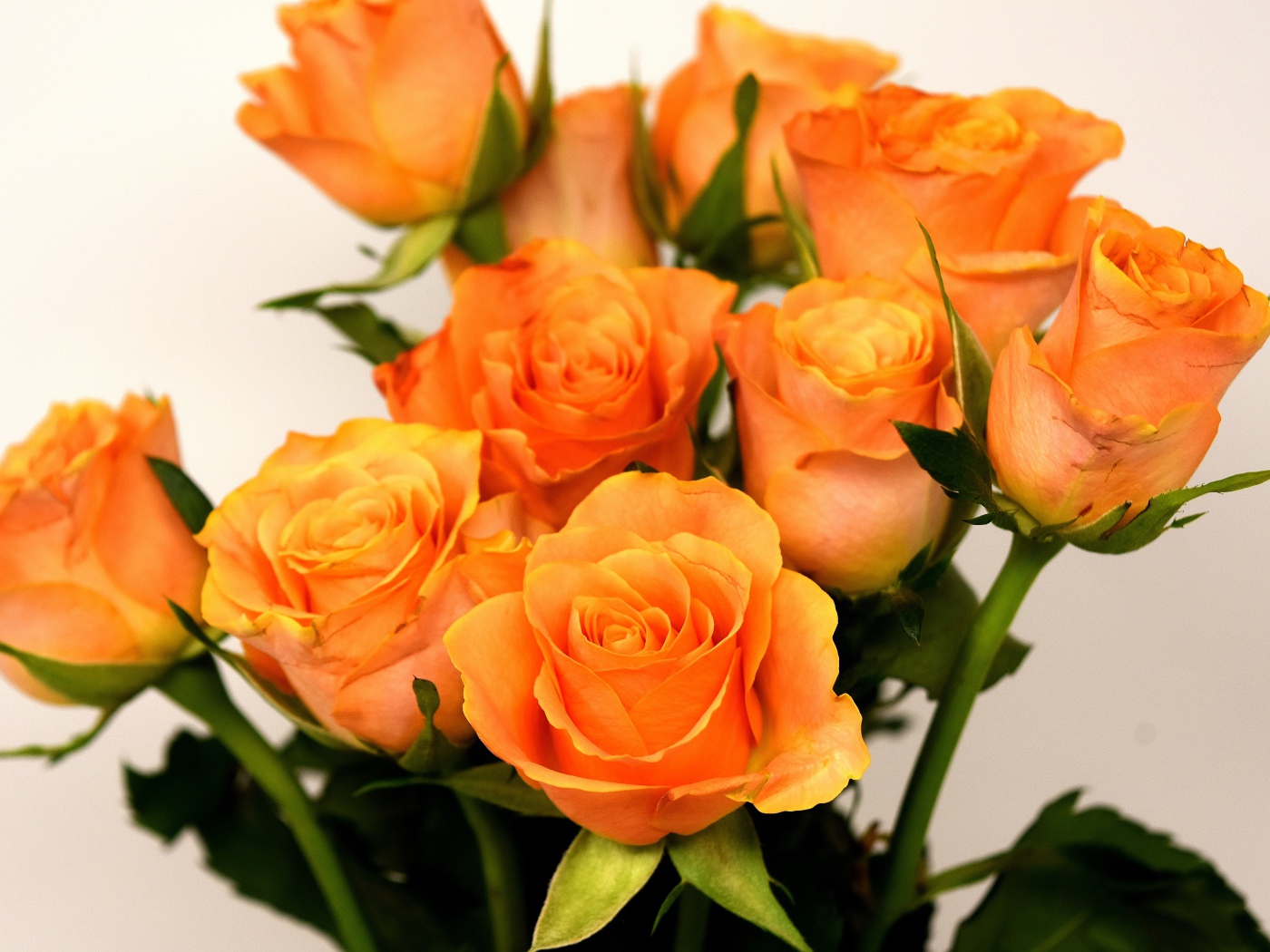 Букет красивых оранжевых роз на сером фоне