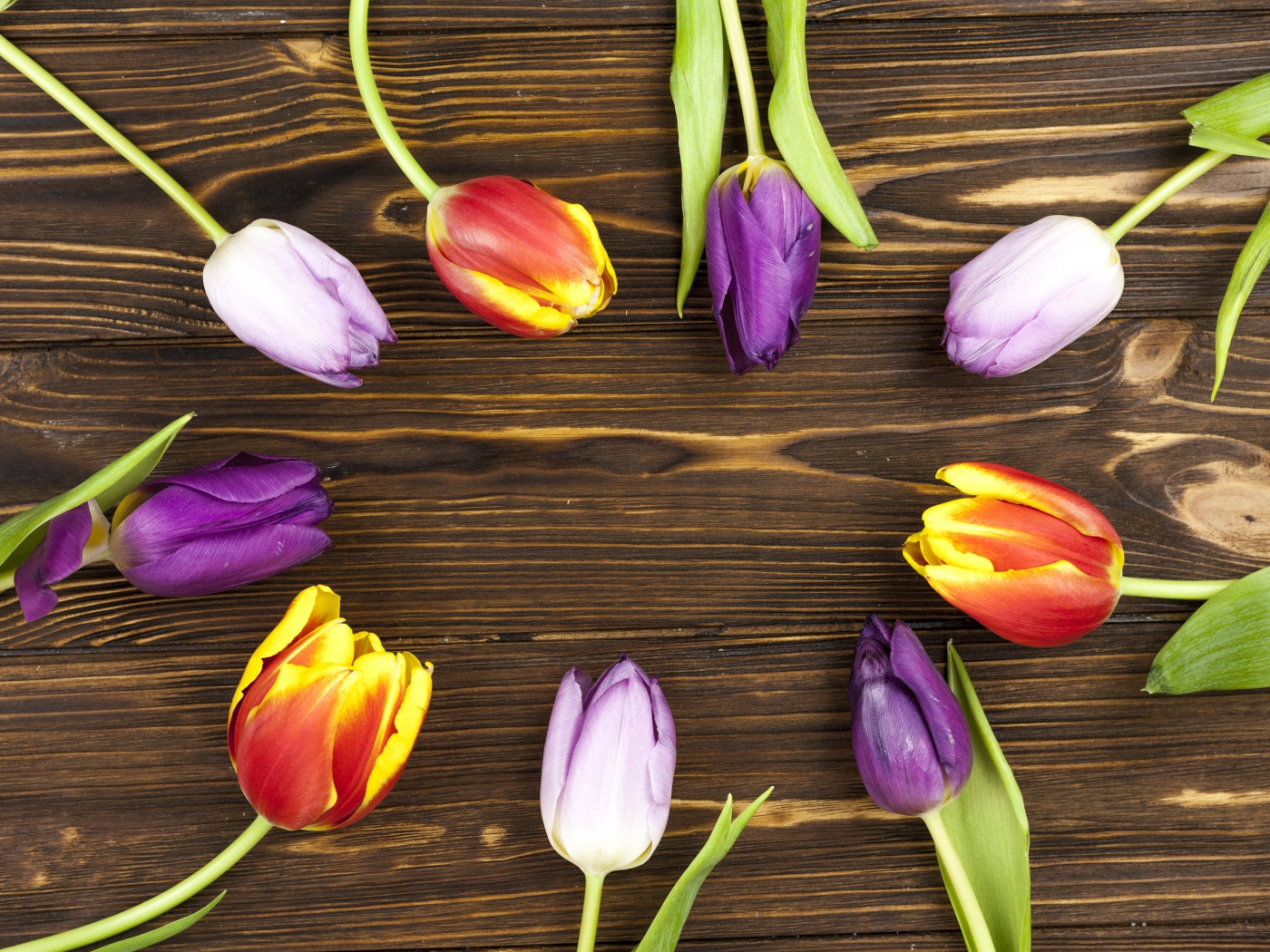 Разноцветные тюльпаны на деревянном фоне