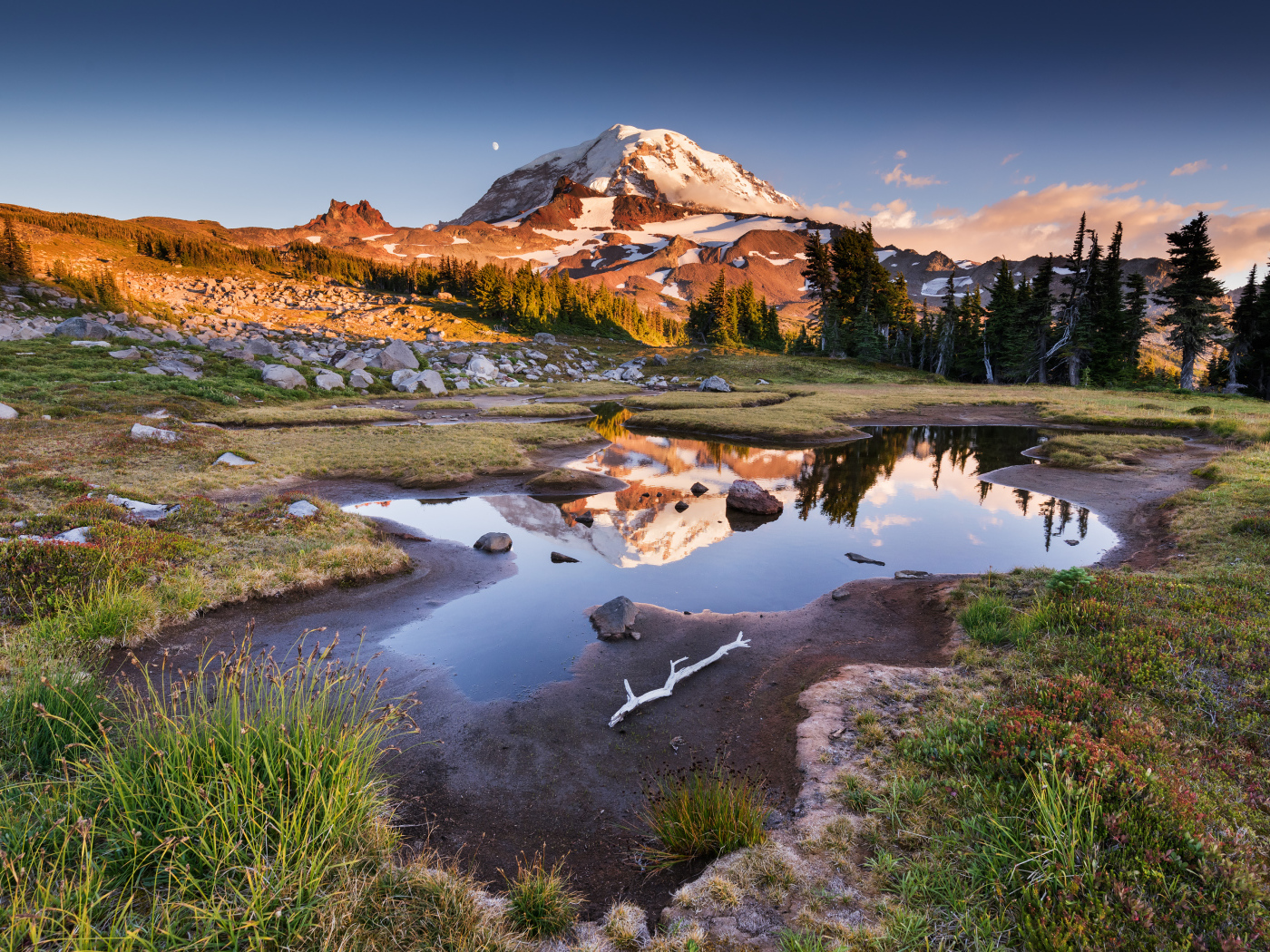 Заснеженная гора  у леса под голубым небом в лучах солнца