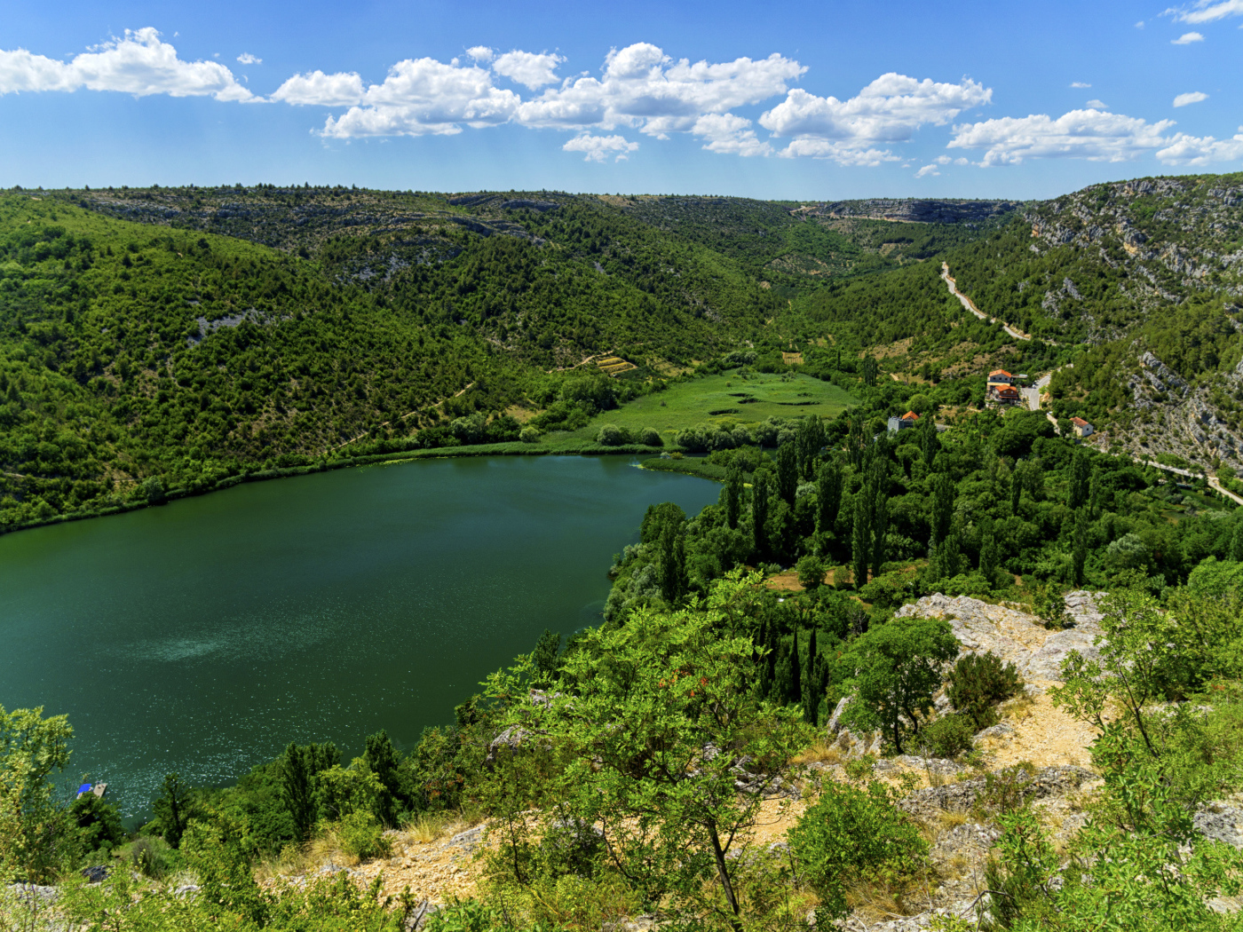 Озеро в живописном зеленом парке под голубым небом 