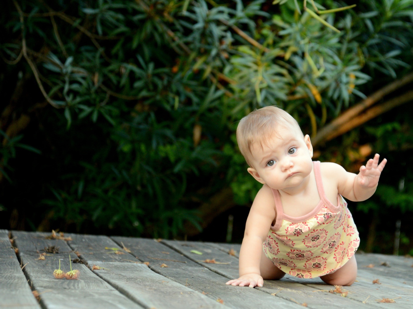 Маленькая девочка ползет по деревянному мосту