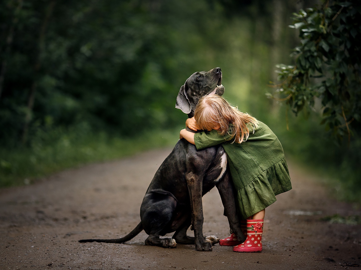 Маленькая девочка обнимает большого черного дога